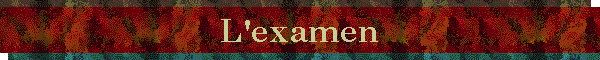 L'examen